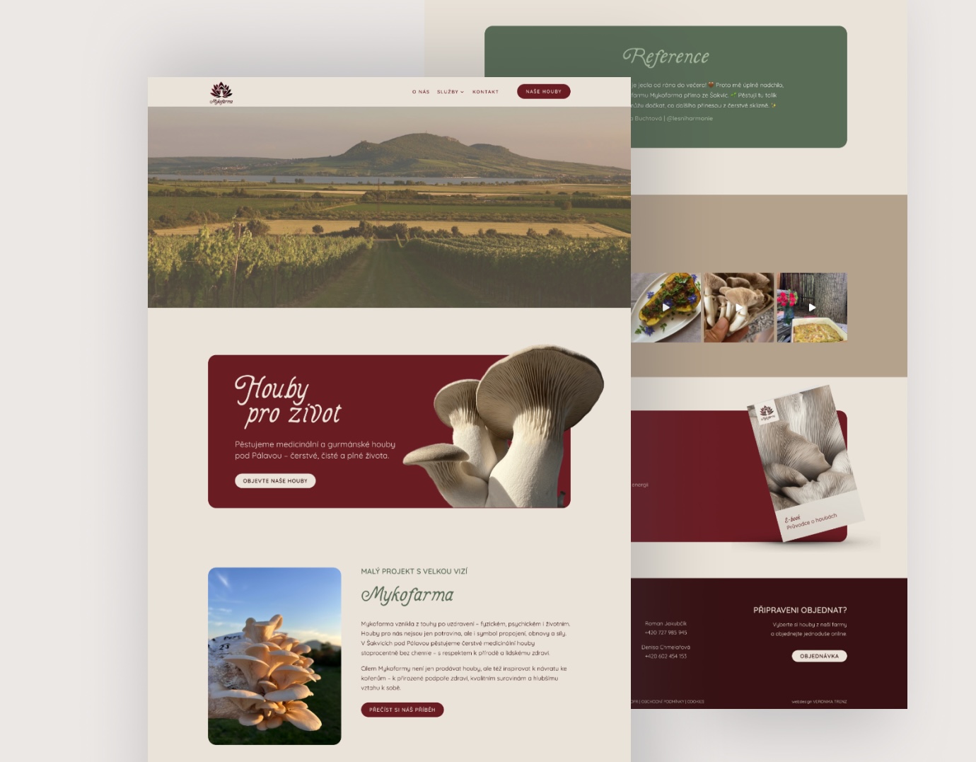 web design Mykofarma web design Mykofarma
